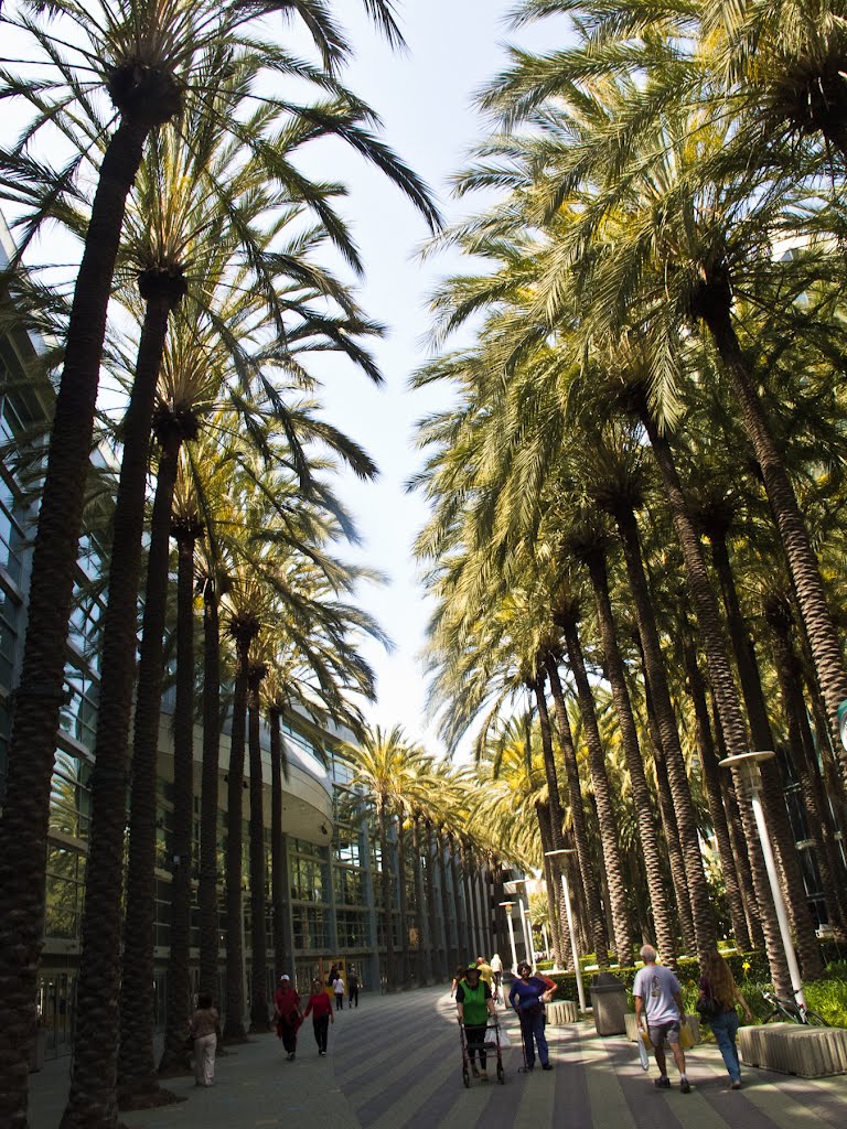 Palm Court, Anaheim Convention Center by Hoàng Khai Nhan