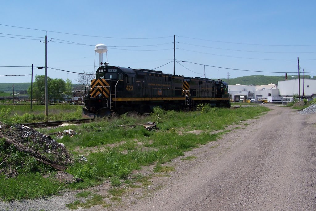 Bath and Hammondsport units at Bronson Yard by RDM67