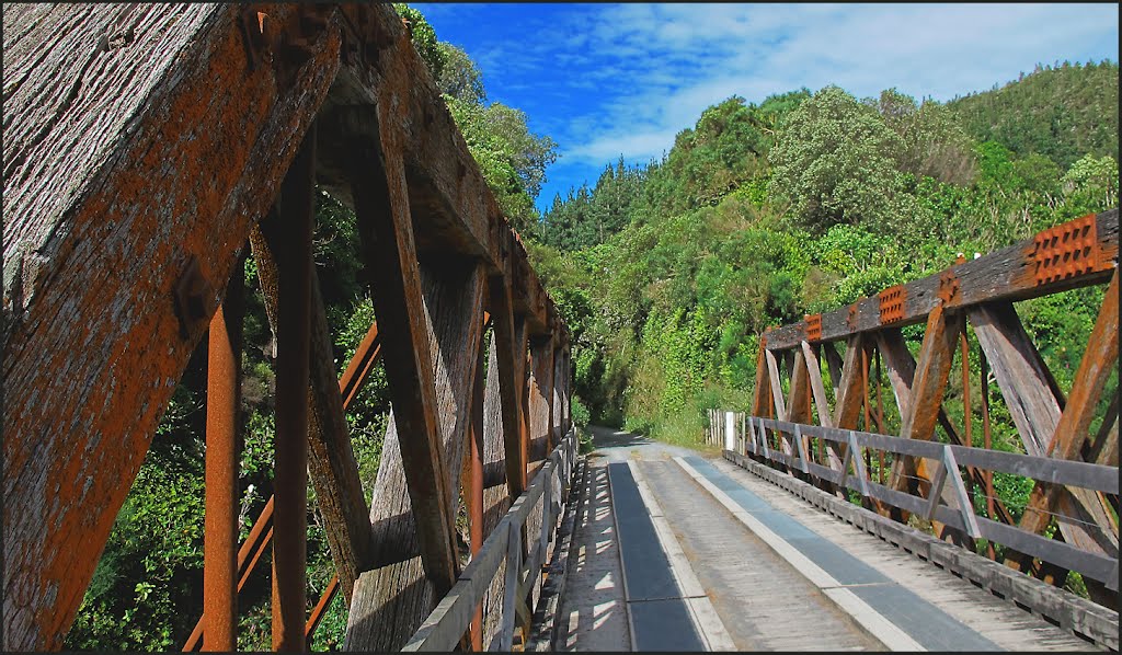 Redundant railway bridge by Lana Kuznetsova