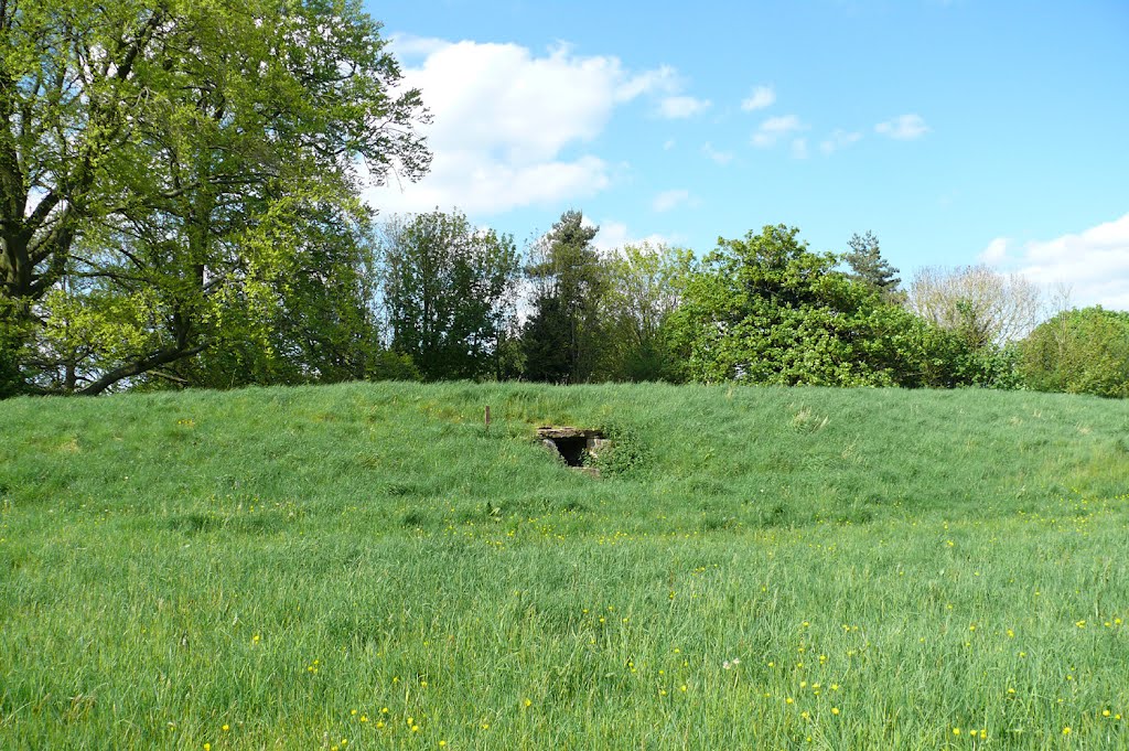 Lanhill Long Barrow by diggers92