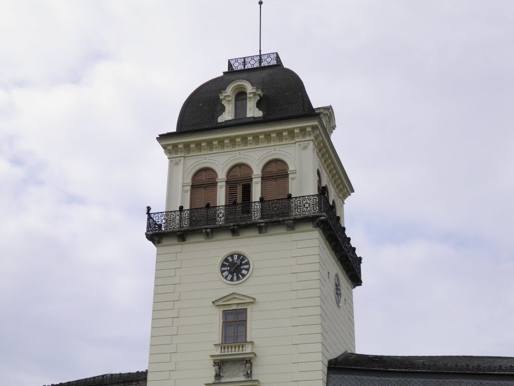 Schloss Tollet Turm 2011 by 192mscbert