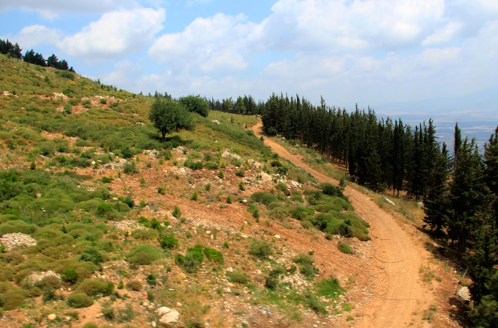 View of Galilee Виды Галилеи by lomaster