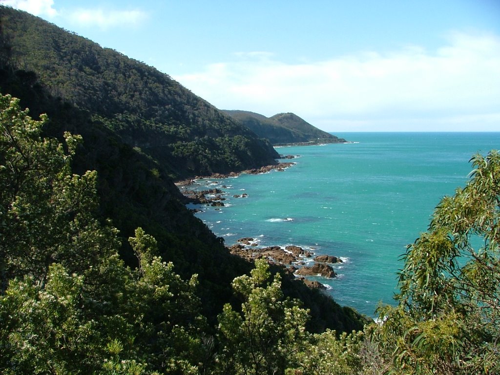 Great Ocean Road near Appollo Bay by abedan