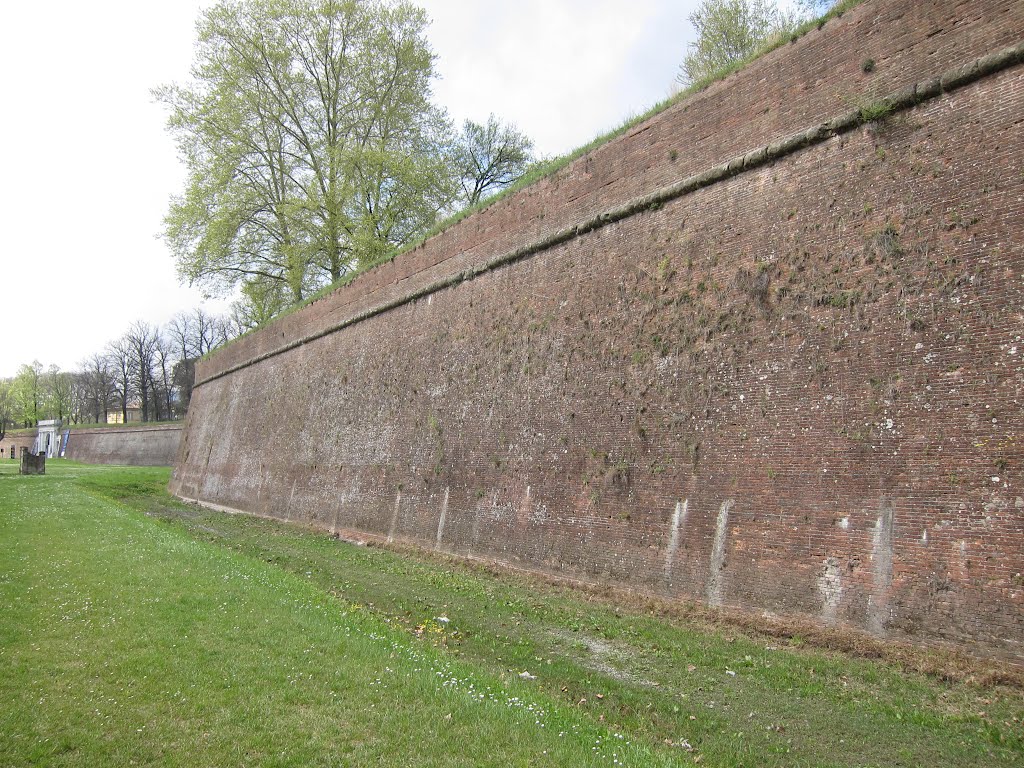 Lucca by bryanf