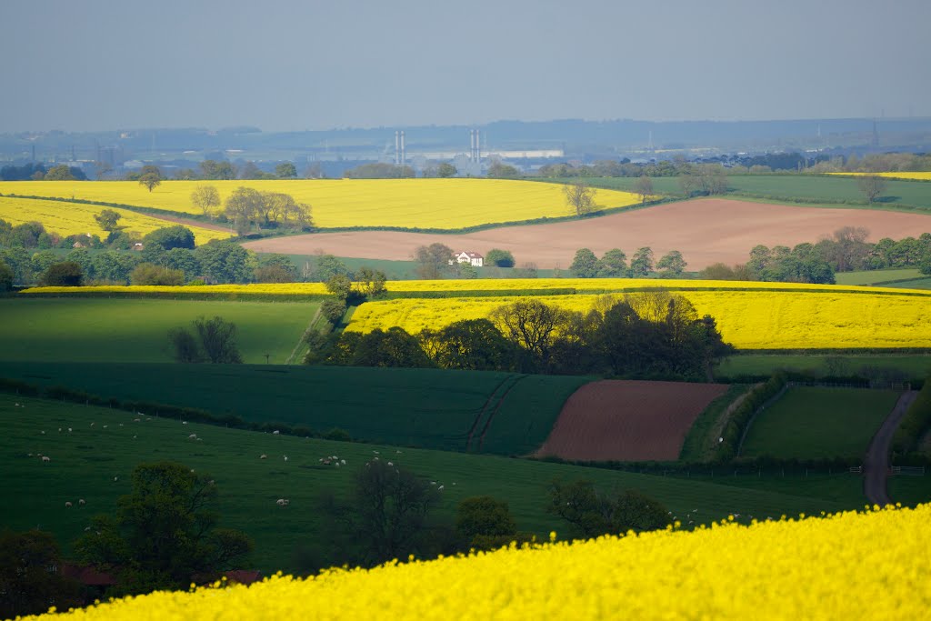 View From Mapperley Plains by JRWELLS