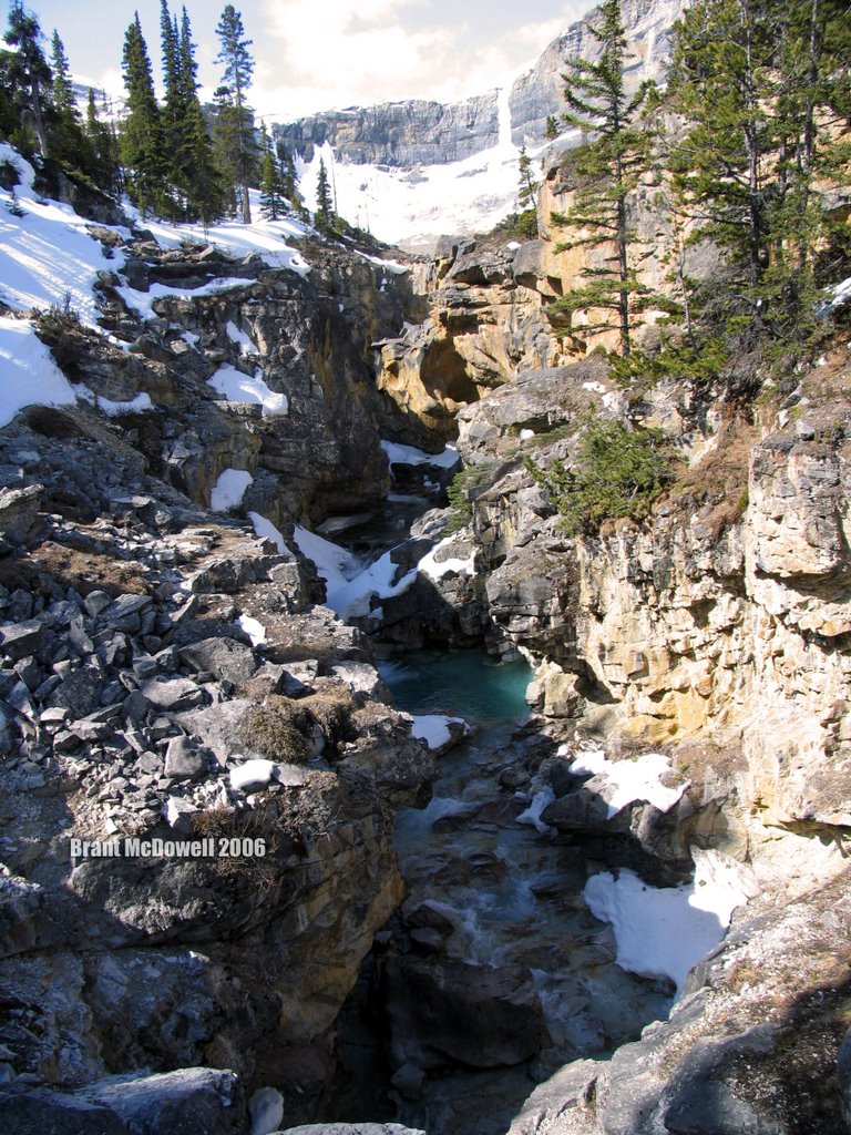 Birth of the Bow River by Brant