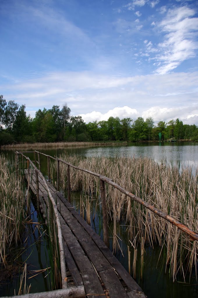 Fishpond Dobrá vůle by stros.ota