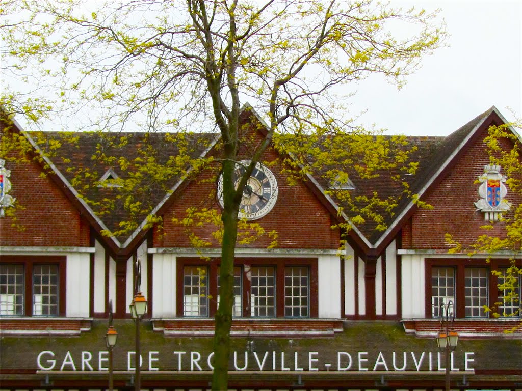 La gare de Deauville-Trouville by daniel wilk