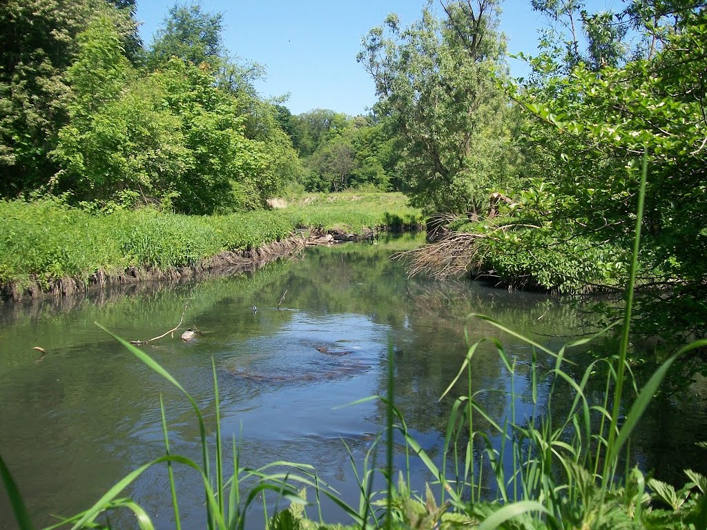 Rzeka Bytomka by fot.Wierciński Józef