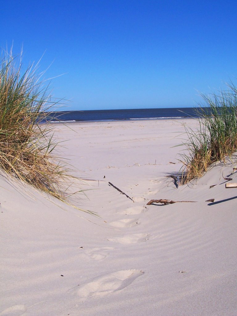 Dunes near Wasserturm / Dünen am Wasserturm by scheity