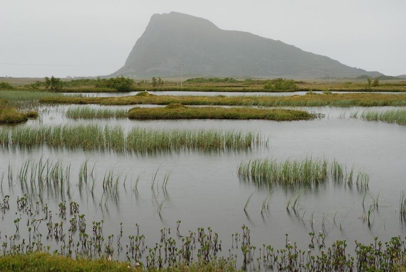 Hoven, June 2007 by MichaelN