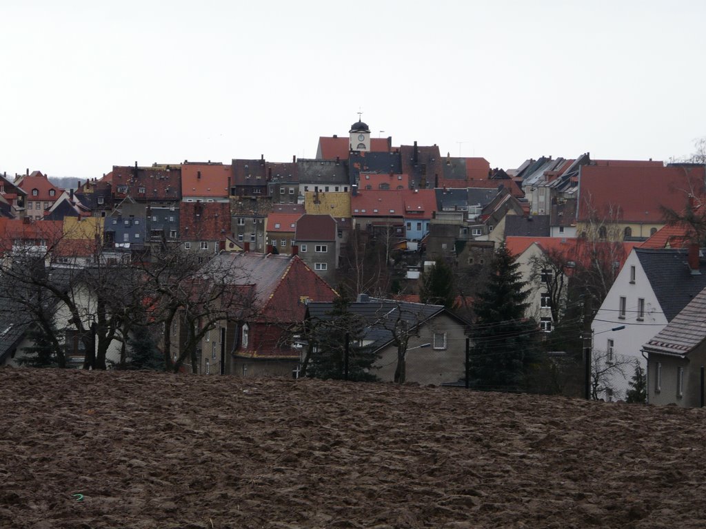 Leisnig, Blick auf die Innenstadt, besuchen Sie auch die Seite der Gemeinhardt Gerüstbau, www.ggemeinhardt.de by Walter Stuber