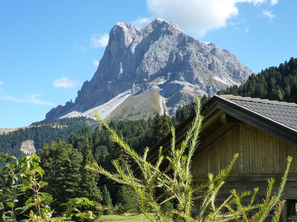 Peitlerkofel, Unterpiskoialm by chuettıg