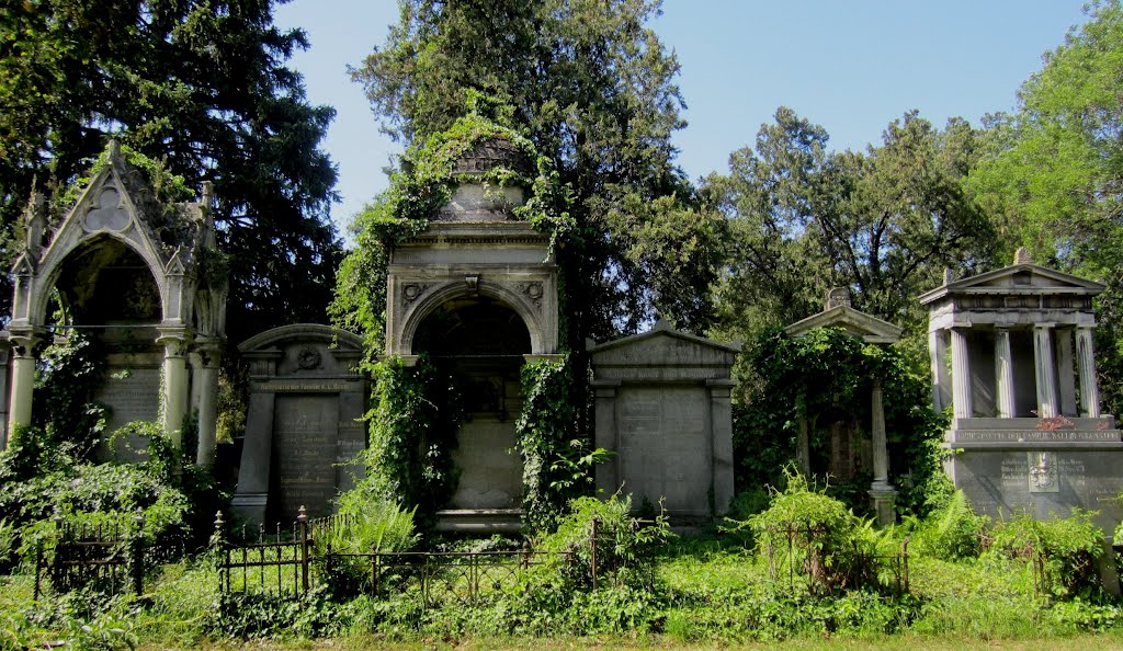 Jüdische Abteilung des Zentralfriedhofes in Wien by Martin Furtschegger