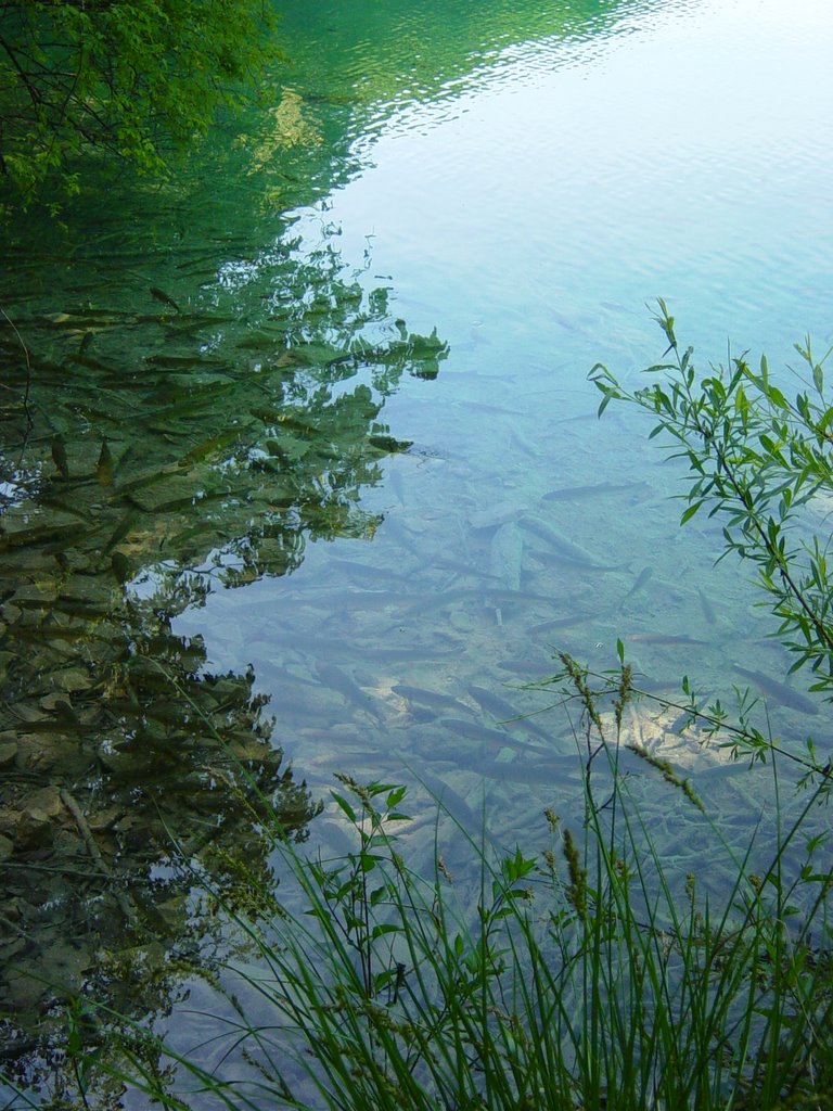 Plitvice Lakes by b0ra