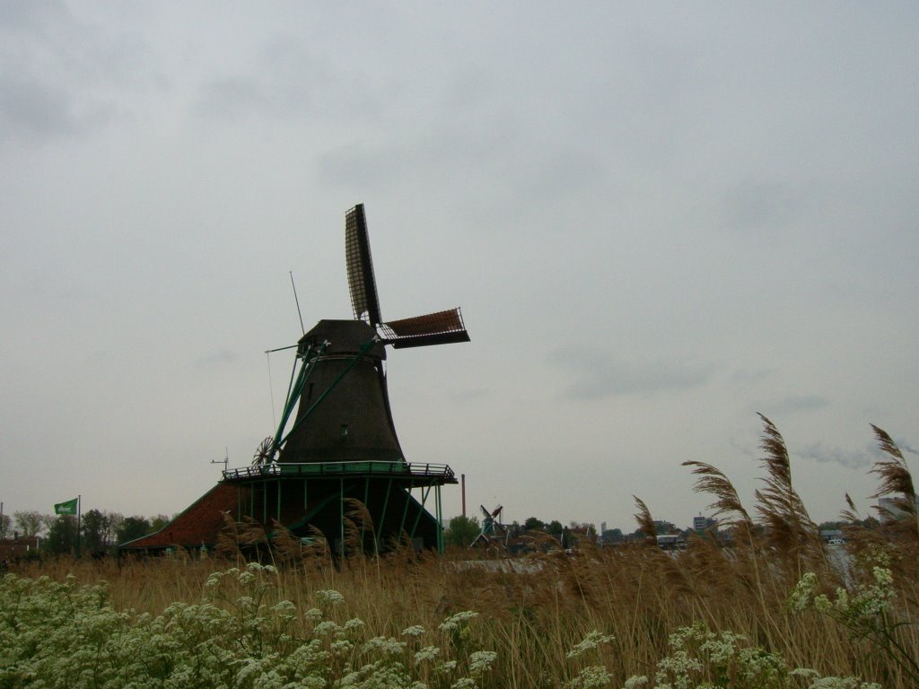 Zaanse Schans ( NL ) by goschie