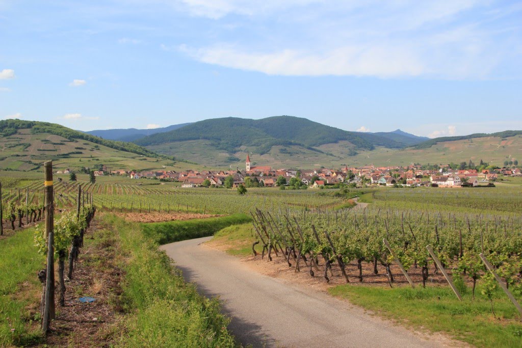 Ammerschwihr et le vignoble by Wernain Samuel