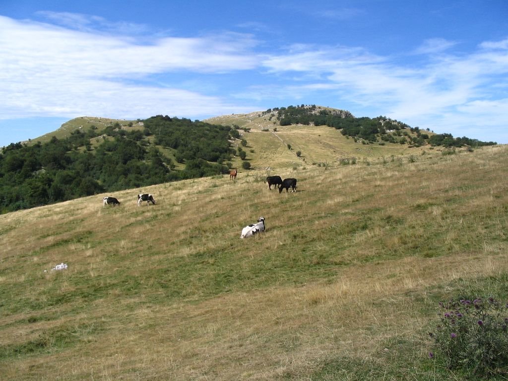 Corno d'aquilio by Giorgio Peripoli