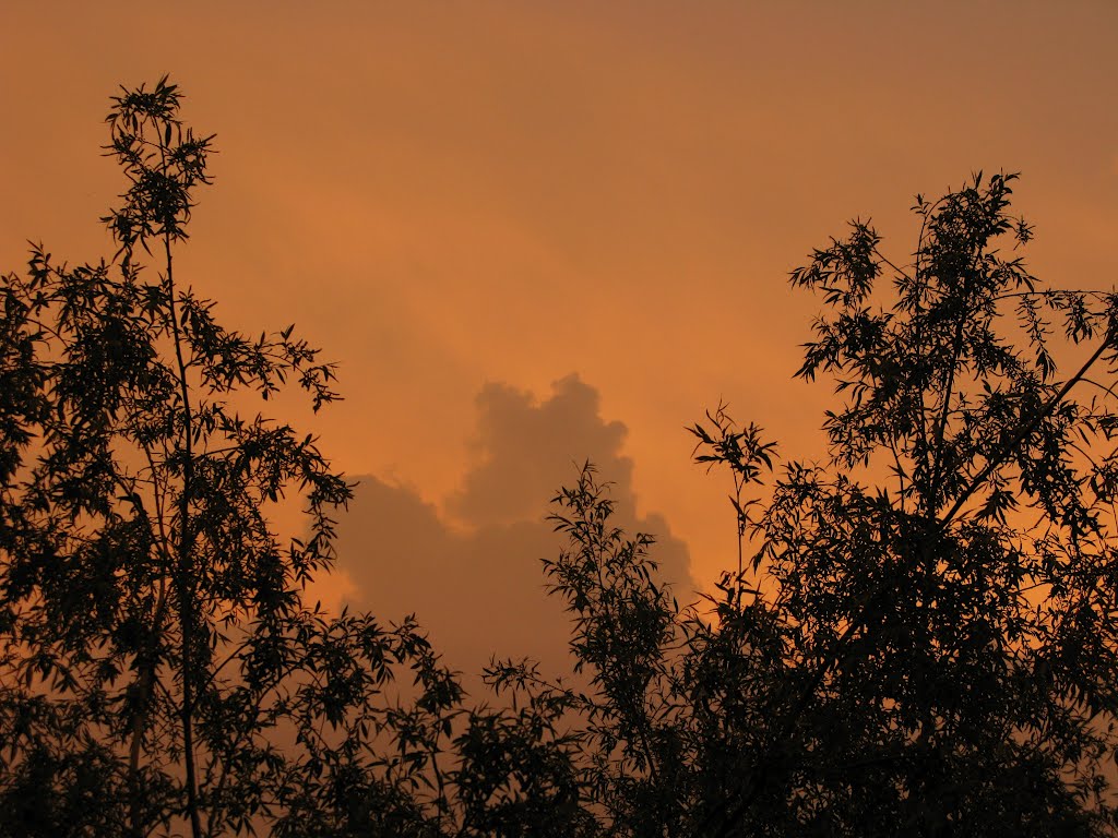 Strange coloured Air this evening. by M.Kranenborg-Torn