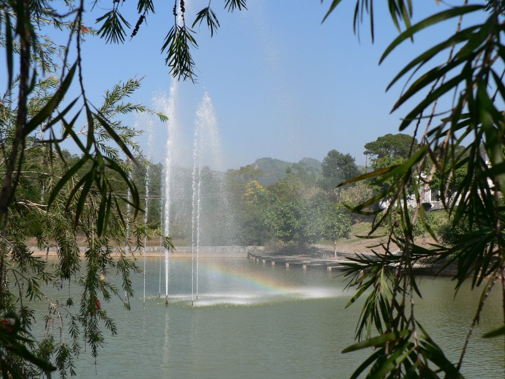 Fountain in Central Lake 中心湖喷泉 by tunghaojey