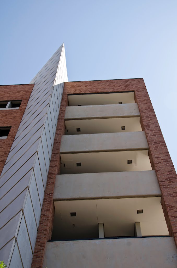 Arizona State University Campus, Tempe, Arizona by davidpinter