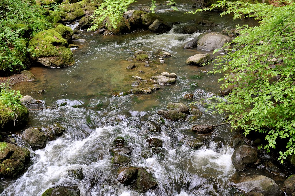 Op de wandeling Strohner Schweiz,de Alf by nibec