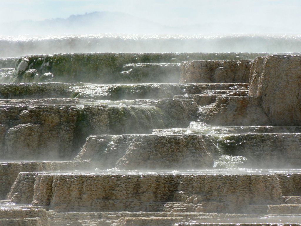 Mammoth hot springs8 by jbrano