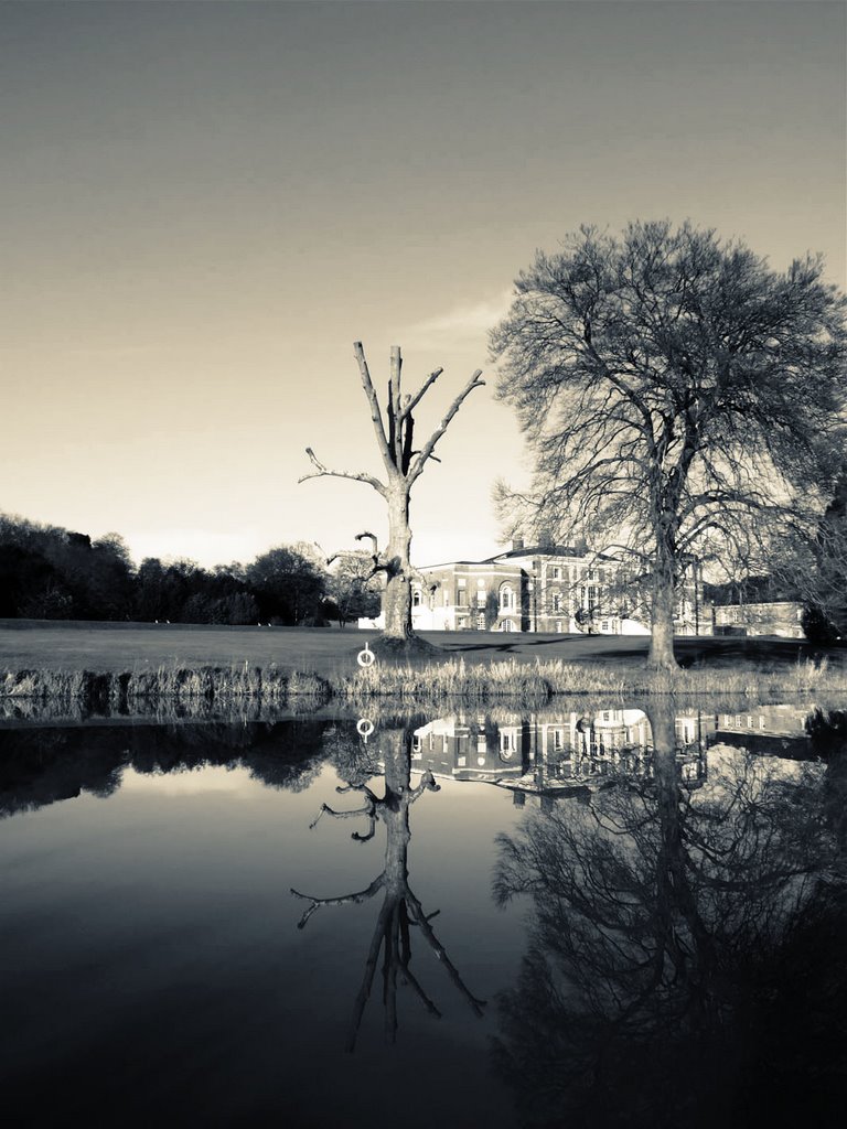 Waverley Abbey, Lith Photograph by simon_patrick