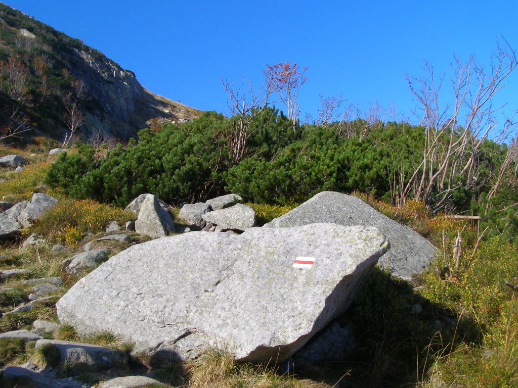 Glacial landscape of the cirque by Dodge