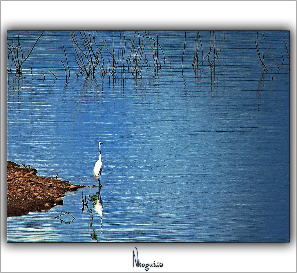 Solidão by Wagner Swerts Tambur…