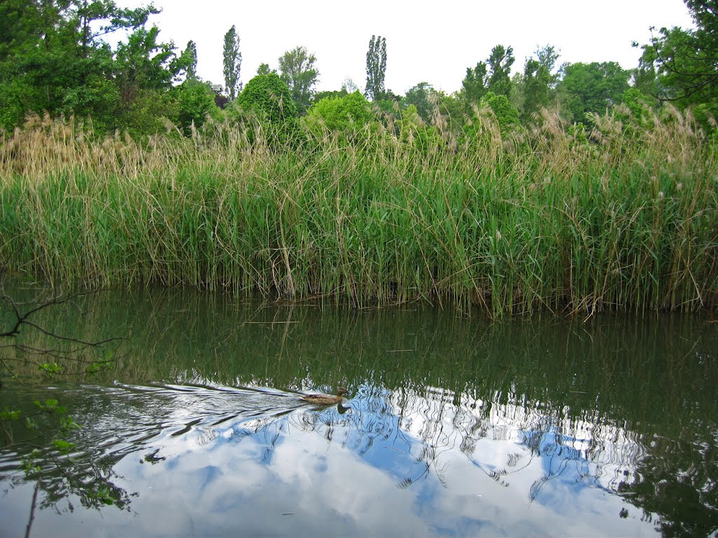 Laghetto al Parco Nord - Cinisello Balsamo - by ANDREA GERVASONI