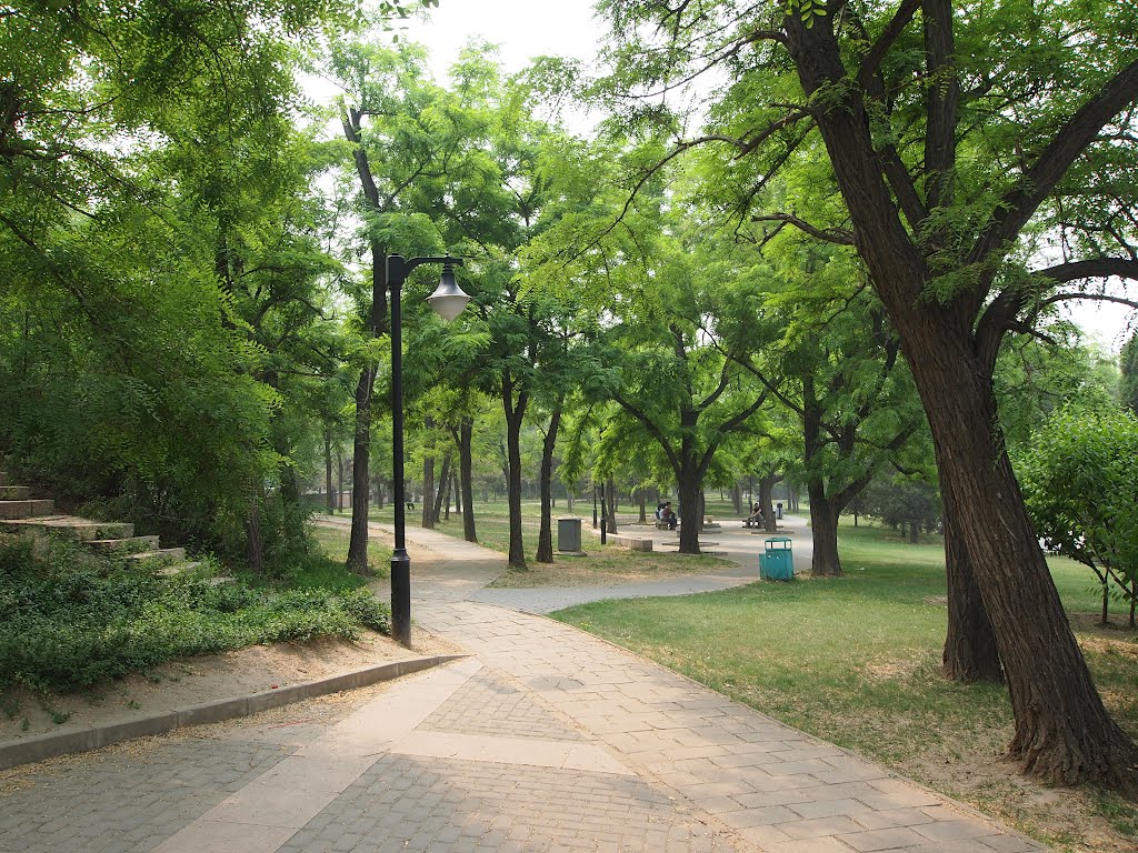 元大都城垣遗址公园 - Yuan Dynasty City Wall Relics Park - 2012.05 by rheins