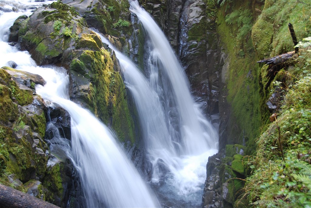 Sol Duc Falls, Olympic NP, WA by odileb