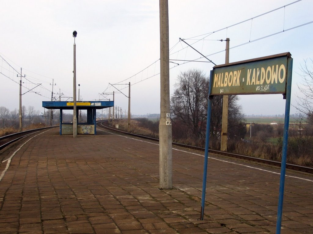 Malbork, Poland by adam_sz