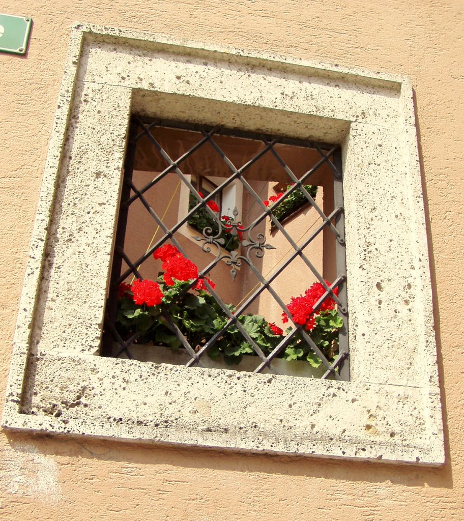 Window in fence. by BoyanVidenov