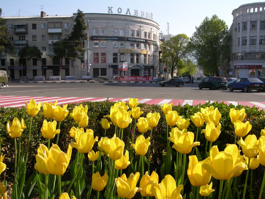 Flowers and city by EPChristian 2