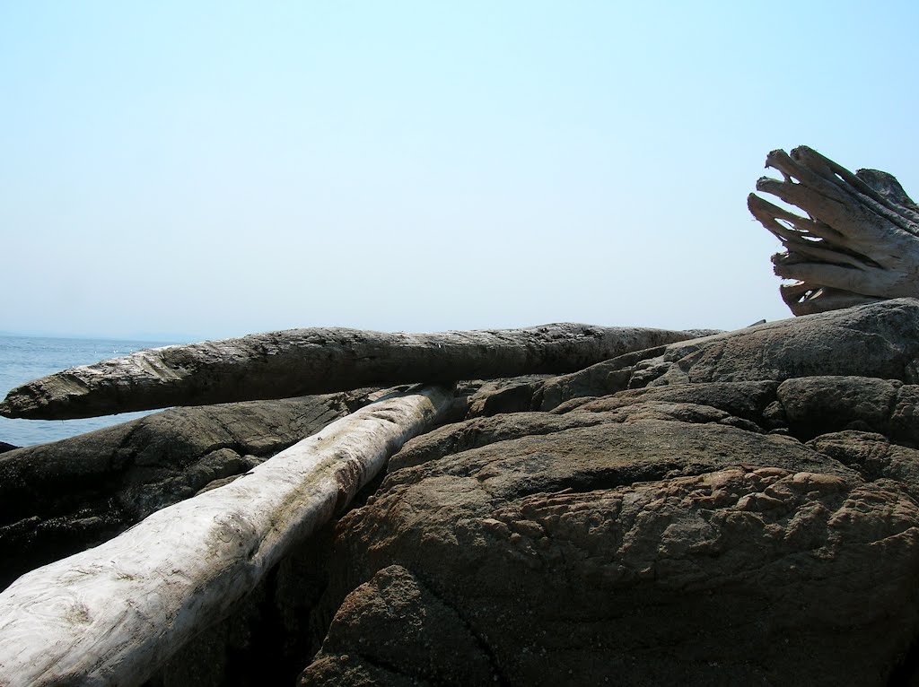 West Beach, Lighthouse Park by kezt777