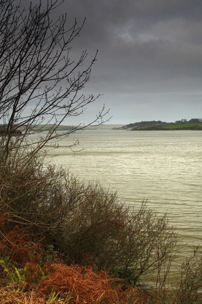 River Camel in Winter by www.pauldavoren.com