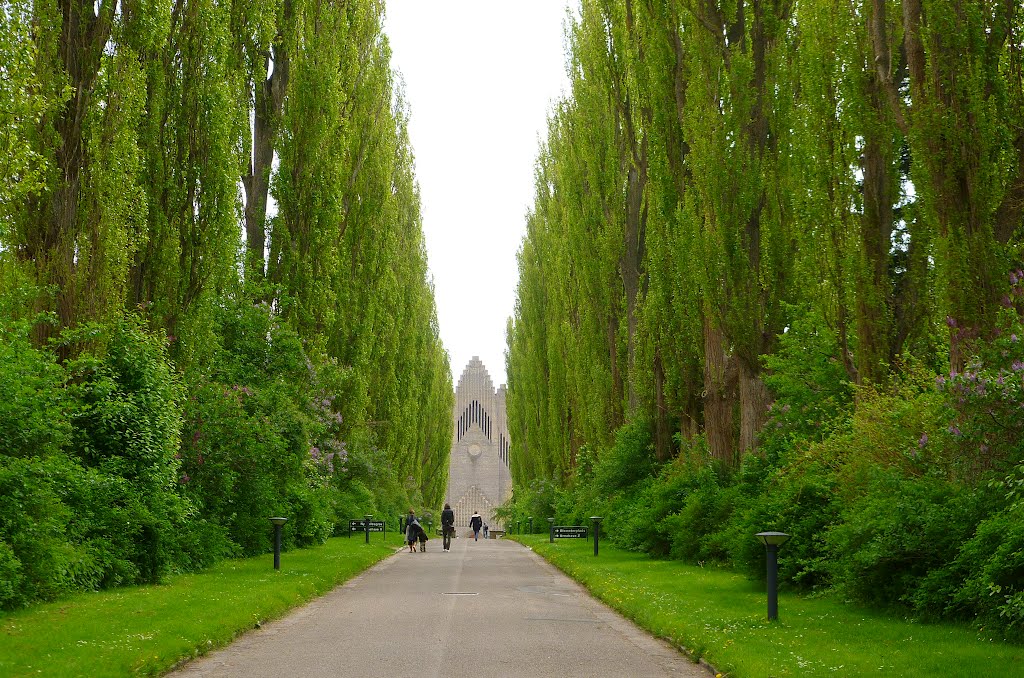 Grundtvig's Church from Bispebjerg Cemetary. by Bev Lloyd-Roberts