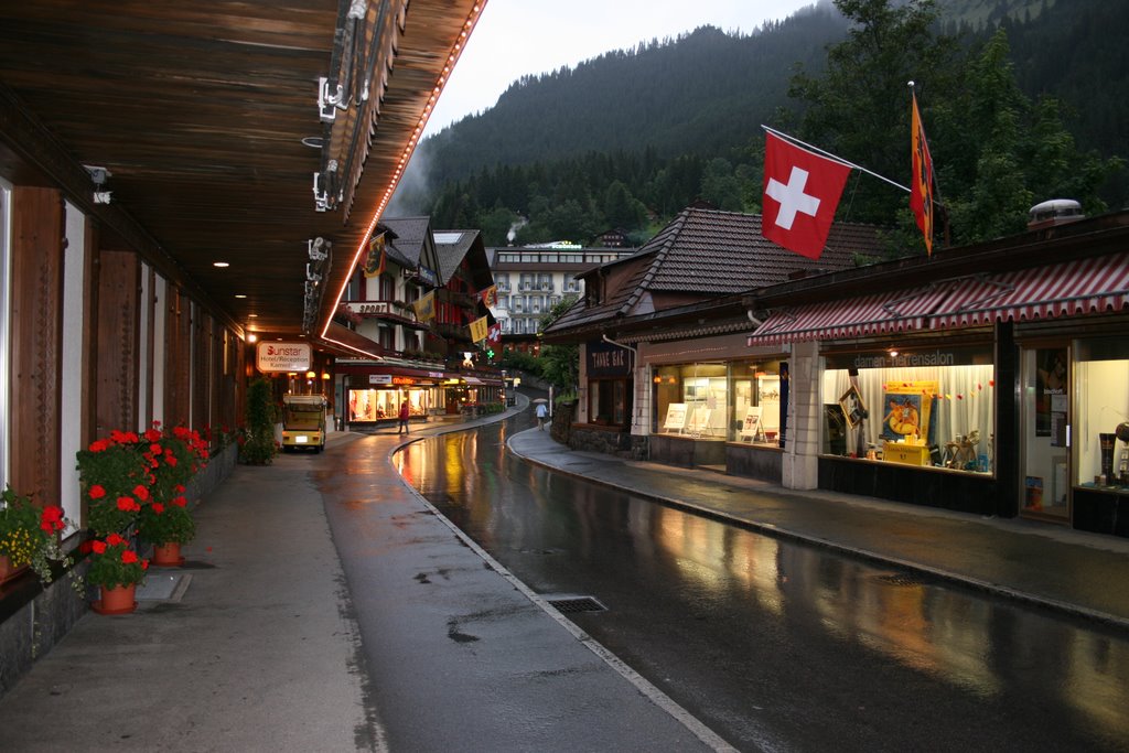 Wengen by Bercar