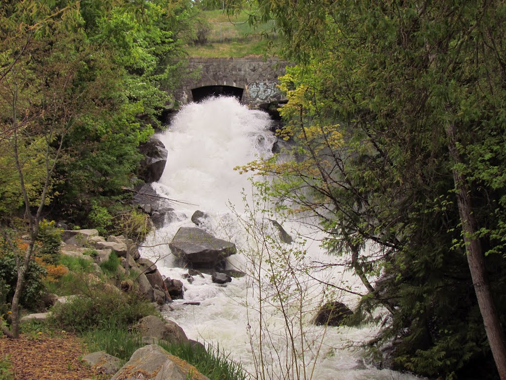 Cottonwood Falls by BC Noel