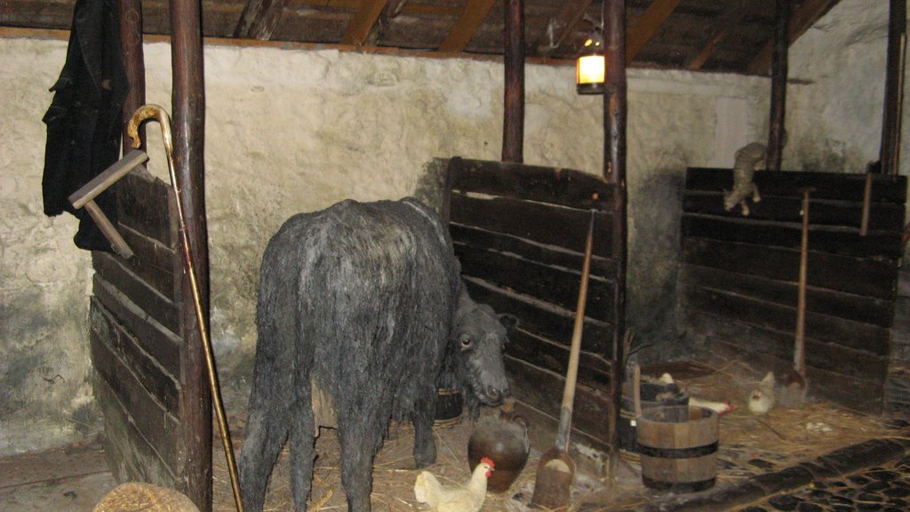 Burns Cottage - the byre by Scotia