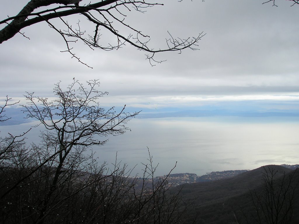 Pogled s Brložnika na Ičiće by irena59