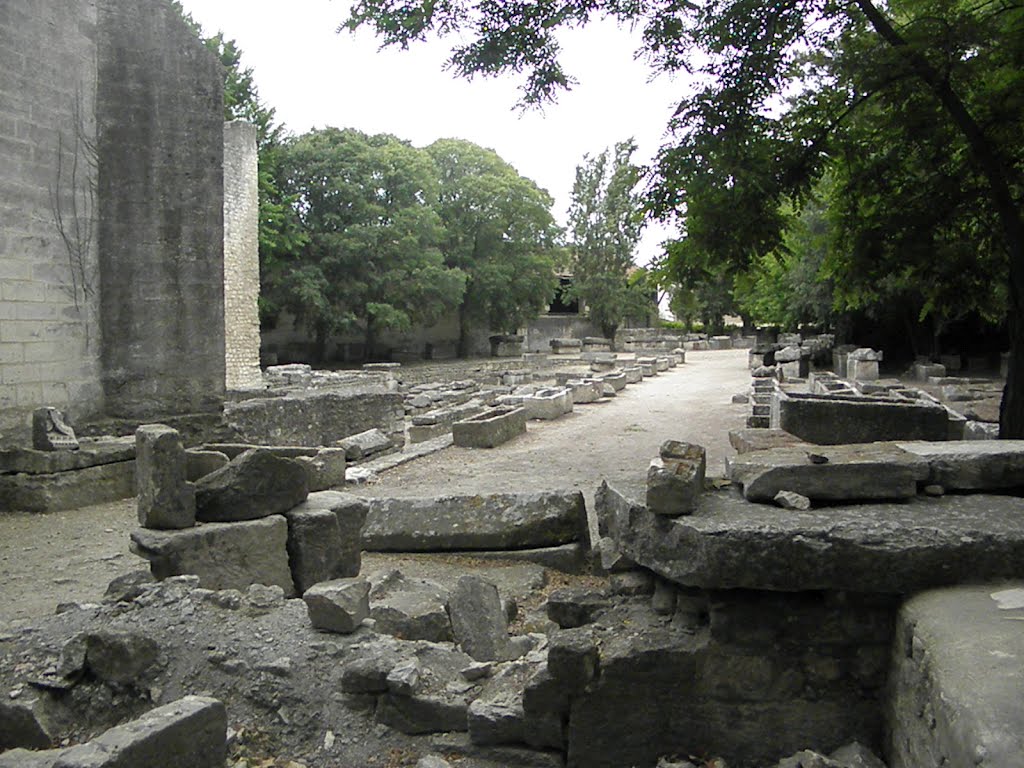 Une vue actuelle de la nécropole des Alyscamps et de ses sarcophages by zicx