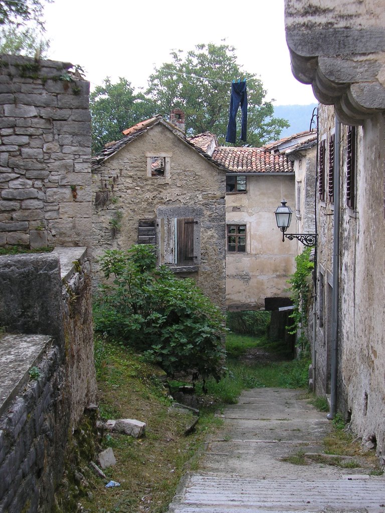 Pazin, Croatia by Moshe Shaharur