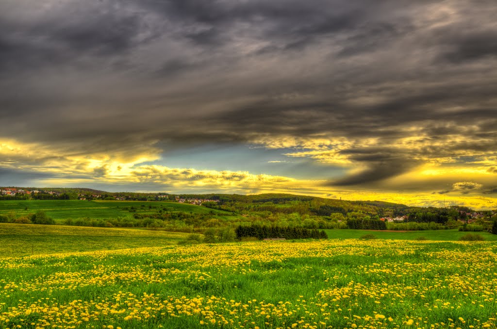 Blumenwiese im Sturm by Patric Springborn