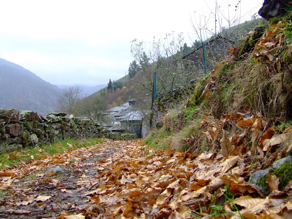 Otoño en el valledor by rkebra