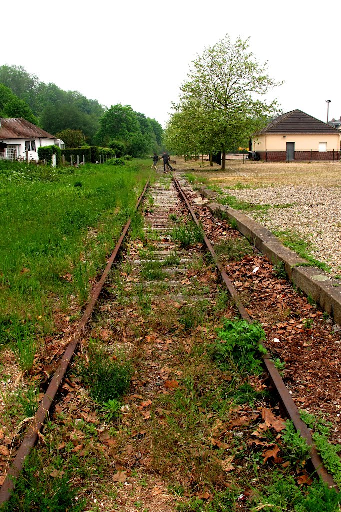 L'ancienne voie de chemin de fer by fvexler