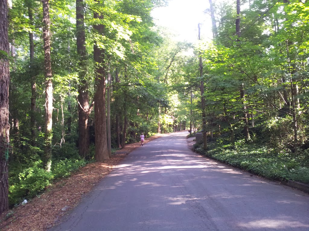 E. Club Ln. Mayson Ravine on the left, Historic Brookhaven by rprilop