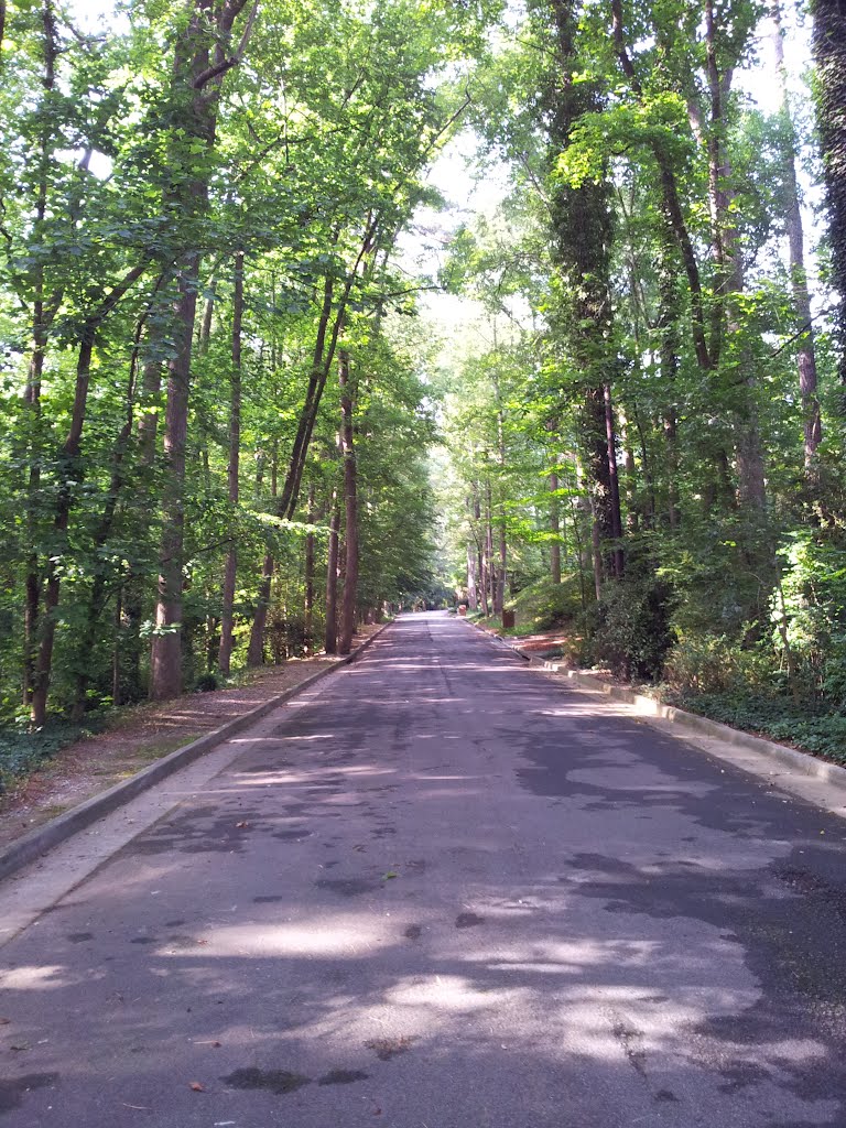 West Club Ln NE, Historic Brookhaven (Mayson Ravine) by rprilop